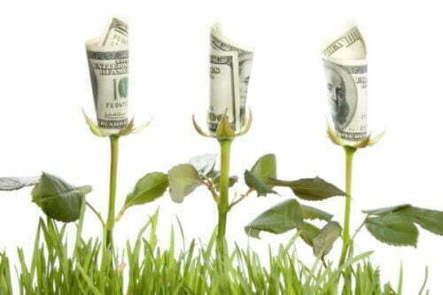 Money growing on flowers representing Abundance Mindset