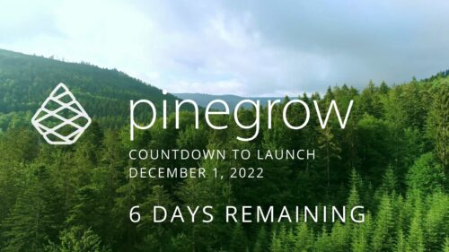 Pinegrow countdown day 6. What's new.